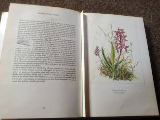 Flora en Fauna Boek Fleurs sur ton chemin ,mooie illustraties ,tekst en uitleg