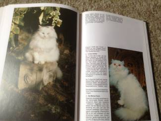 Een Boek van katten ,lieve schattige huisdieren Boek