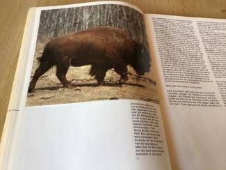 Reisboeken 2 boeken v.Canada ,oudere & vernieuwde versie TOP