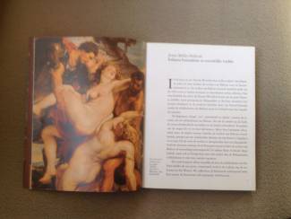 Kunst en Foto Boek v/d mooiste meesterwerken van schilder Rubens ,foto's