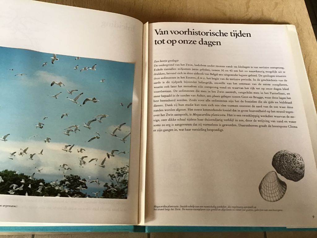 Boek;het zwin;de natuur &vogel-reservaten;prachtige exemplaar
