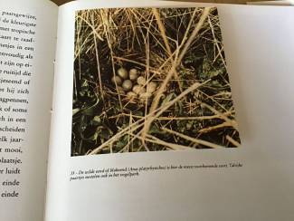 Flora en Fauna Boek;het zwin;de natuur &vogel-reservaten;prachtige exemplaar