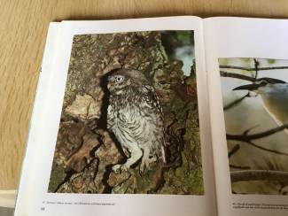Flora en Fauna Boek;het zwin;de natuur &vogel-reservaten;prachtige exemplaar