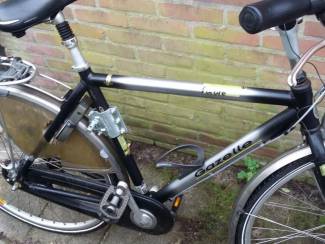 Herenfiets Gazelle furore