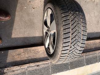 4 winterbanden dunlop 205-55 r16