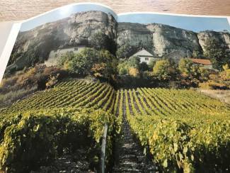 Bourgondie i.Frankrijk met hun prachtige wijngaarden,druiven TOP