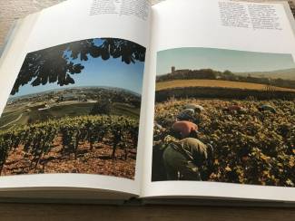 Boeken | Reisgidsen Bourgondie i.Frankrijk met hun prachtige wijngaarden,druiven TOP