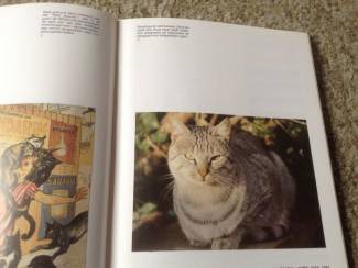 Katten Een Boek van katten,lieve schattige huisdieren,slim dieren