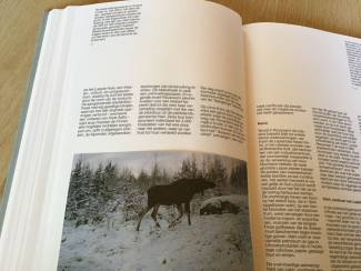 Boeken | Reisgidsen Boek v.dit prachtige Scandinavisch land als FINLAND TOP