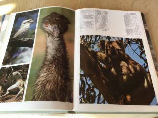 Boeken | Reisgidsen Australie; Prachtig boek, prachtige en uitzonderlijke natuur
