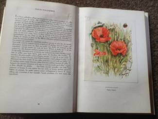 Flora en Fauna Prachtige franse boek van bloemsoorten;Fleurs sur ton chemin