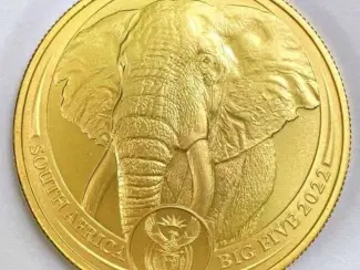 Gold Elephant 
