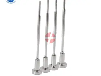 Common Rail Injector Valve FOOV C01 317