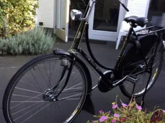 Gazelle tour popular C3