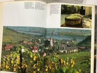 Boeken | Reisgidsen Boek :OOSTENRIJK ;om op reis te gaan,ski-land ,beklimmingen