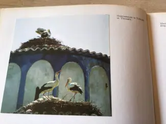 Boeken | Reisgidsen Griekeland boek;Prachtig land met hun historisch oude pronks
