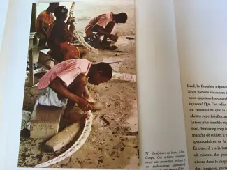 Boeken | Reisgidsen Australie; Prachtig boek, uitzonderlijke natuur en wilde dieren