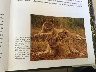 Boeken | Reisgidsen Australie; Prachtig boek, uitzonderlijke natuur en wilde dieren