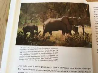Boeken | Reisgidsen Australie; Prachtig boek, uitzonderlijke natuur en wilde dieren