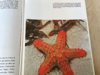 Boeken | Reisgidsen Australie; Prachtig boek, uitzonderlijke natuur en wilde dieren