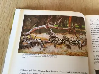 Boeken | Reisgidsen Australie; Prachtig boek, uitzonderlijke natuur en wilde dieren