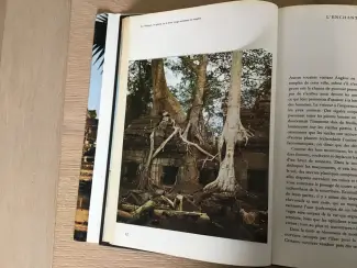Boeken | Reisgidsen Boek Angkor,naast Cambodja,Vietnam,Thailand TOP