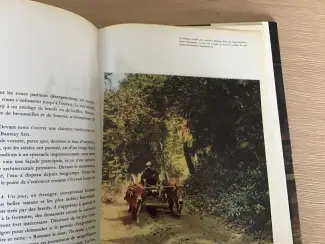 Boeken | Reisgidsen Boek Angkor,naast Cambodja,Vietnam,Thailand TOP