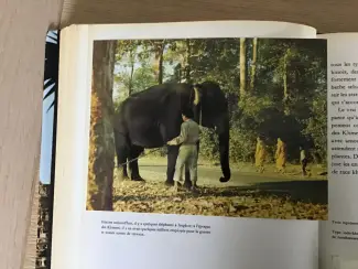 Boeken | Reisgidsen Boek Angkor,naast Cambodja,Vietnam,Thailand TOP
