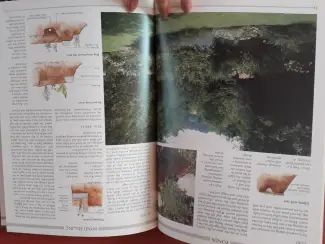 Overige Boeken en Diversen boek pond garden
