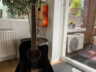 Snaarinstrumenten | Gitaren | Akoestisch Te koop Fazley gitaar FE 118 CBK