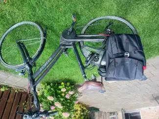 Fietsen | met Hulpmotor gazelle E-Bike
