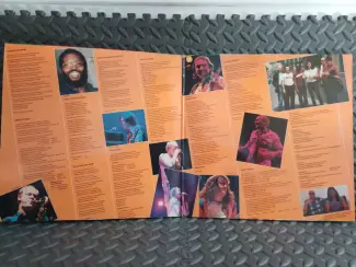 Vinyl | Rock en Metal Lp: Roger Chapman - The Shawdow knows. (1984)