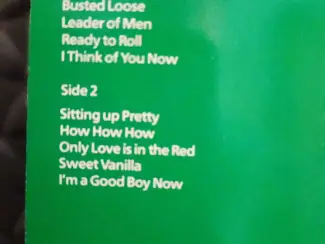 Vinyl | Rock en Metal Lp: Roger Chapman - The Shawdow knows. (1984)