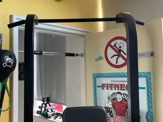 Fitness Power Tower Focus Fitness