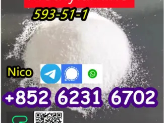 how to buy Hot sales CAS 593-51-1 Methylamine HCl with good quali