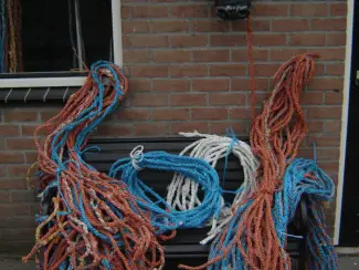 Overige Dieren en Toebehoren Koptouwen voor koeien