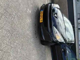 Auto's Peugeot 207 bj 2008 apk jan 2026