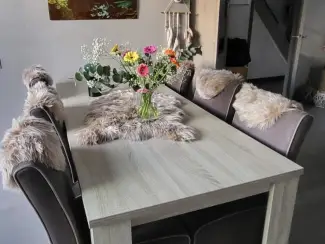 Complete eetkamers Mooie eettafel met 6 stoelen