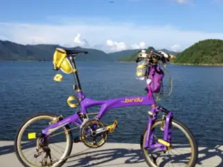 Fietsen | Vouwfietsen Brompton en of Riese Birdy Muller Vouwfietsen Gezocht Gevraagd