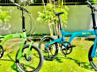 Gezocht: 1 of 2 Riese Birdy Muller Vouwfietsen Gezocht Gevraagd Italie