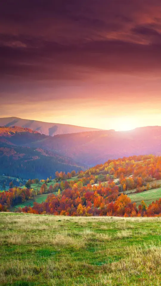 Nieuw: moeder, weet wat er allemaal speelt!