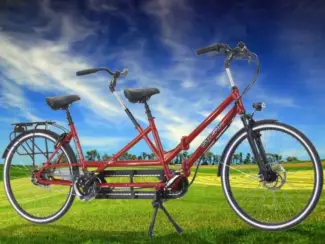 Gezocht: Staerk Tandem Gezocht Gevraagd