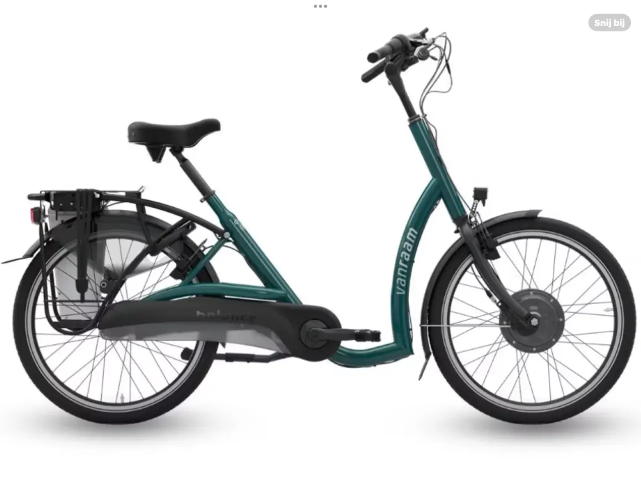Gezocht: 1 of 2 Elektrische Van Raam Balance Fietsen Gezocht Gevraagd