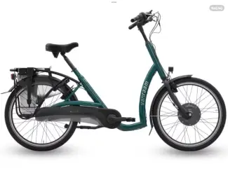 Gezocht: 1 of 2 Elektrische Van Raam Balance Fietsen Gezocht Gevraagd