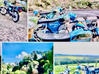 Gezocht: Zundapp Brompton en of Riese Birdy Muller Gezocht Gevraagd