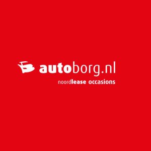 Autoborg.nl